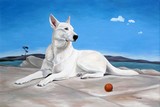 by lisa graziotto