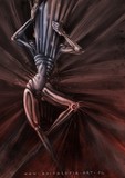 by anita zofia siuda