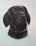 by Fiona Hooper