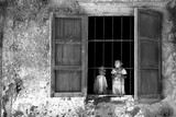 by daniel maissan
