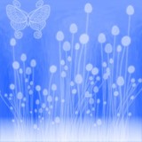 by Nathan