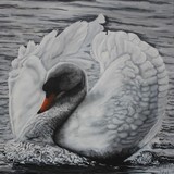 by rodney shortsleeve