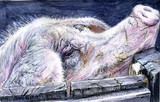 by Lorna Marrison