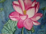 by Cynthia DeMaio