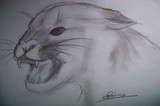 by eliise 