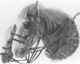 by Phyllis Gerben
