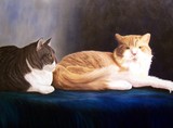 by Pat Quinn