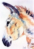 by Corrie Scott