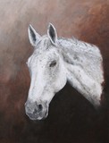 by Kathryn Lewis