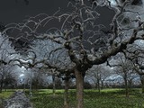 by gianantonio zago marino