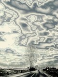 by gianantonio zago marino