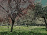 by gianantonio zago marino