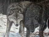 by Sheryl Boivin