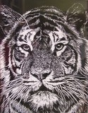 by Sheryl Boivin