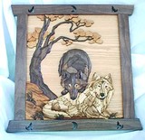 by Donna Zeiders