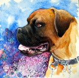 by oxana zaika