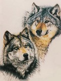 by Barbara Keith