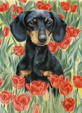 by Barbara Keith