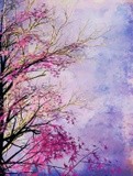 by Angel Estevez