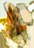 by Zoltan Pal