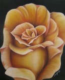 by Carolyn Rayburn