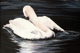 by Natalie Green