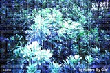 by Giò Myart