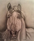 by Roxanne Meyer