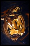 by Mark Zyler