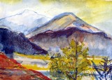 by Angela Marie Barnett