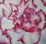 by Elsa Gallegos