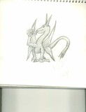 by Ninar Dragon