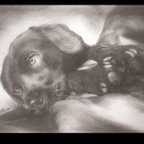 by MLW Illustration & Ink