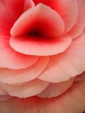 by Devi Barnard