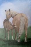by Jennifer Jeffris