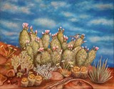 by Kathy Shute