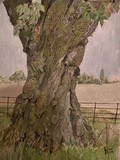 by alan webb