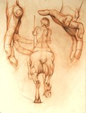 by Annelisa Ochoa