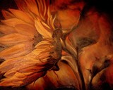 by Sorin Apostolescu