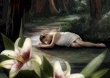 by Rachael Brossart