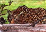 by Vijayendra Acharya