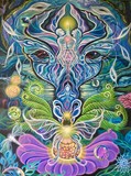 by Oxaya C lofgreen