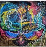 by Oxaya C lofgreen