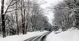 by Dawn Giunta