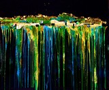 by Katherine Fabrizio