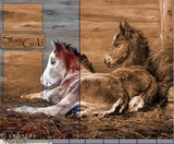 by haley w