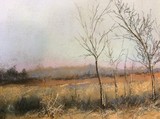 by curtis wood