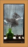 by Robi Hutas
