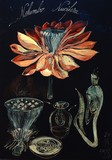 by Kelemen Gabriel