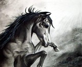 by Amber Kennady